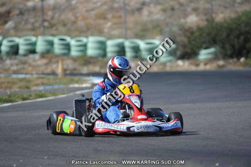 DSC (979).JPG
